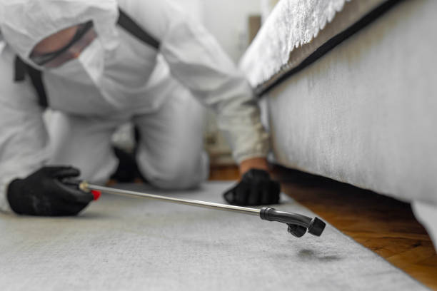Professional Termite Control technician working in Elkhorn, WI