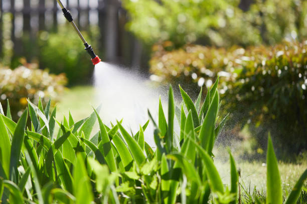 24/7 Emergency Termite Control experts in Elkhorn, WI